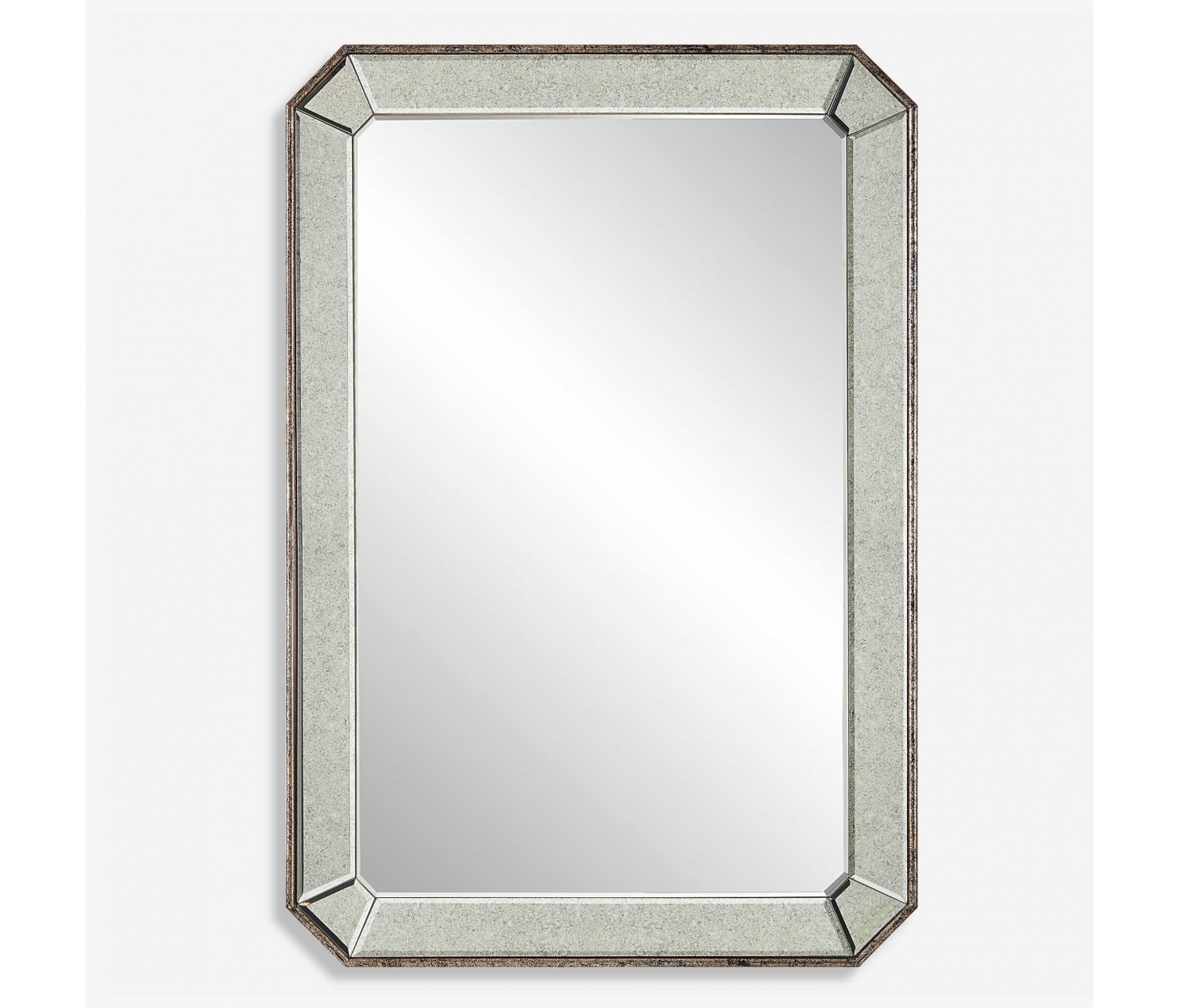 ENE-SFM038 -Customizable Framed Mirror for Retail Display