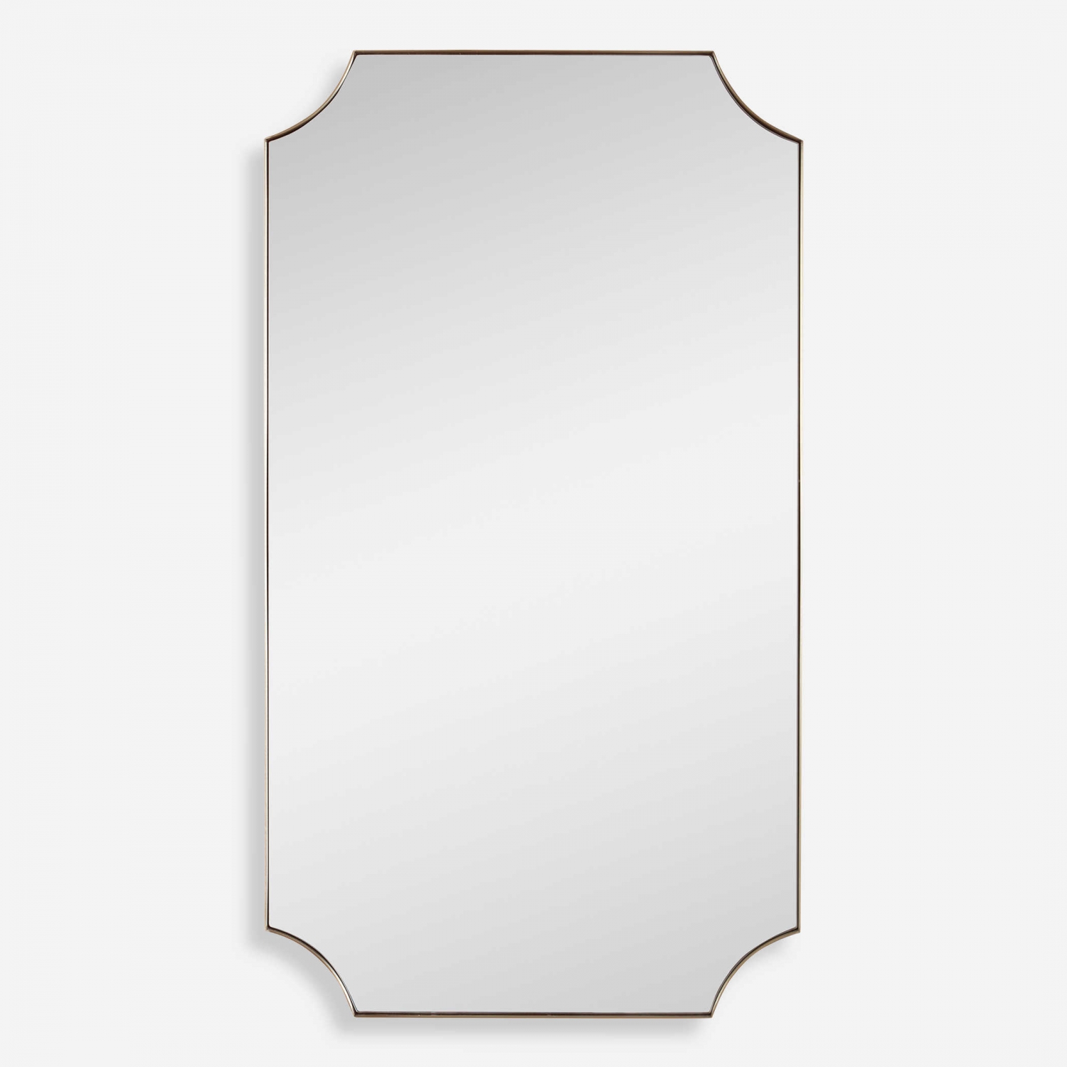 ENE-SFM063 -Custom Framed Mirror for Beauty Salons