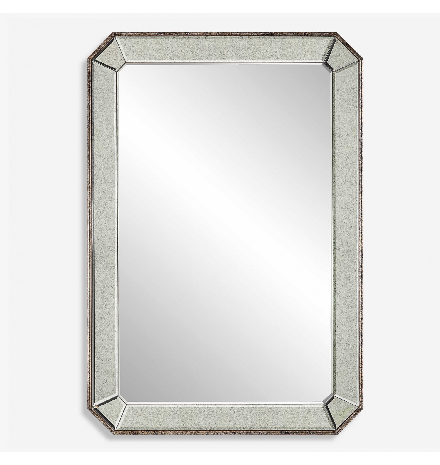 ENE-SFM038 -Customizable Framed Mirror for Retail Display