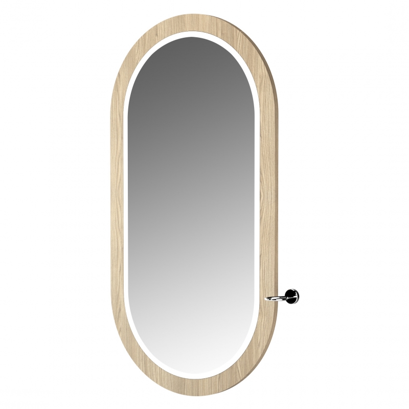 ENE-WMSM058 -Framed Wall-Mounted Salon Mirror with Elegant Desig